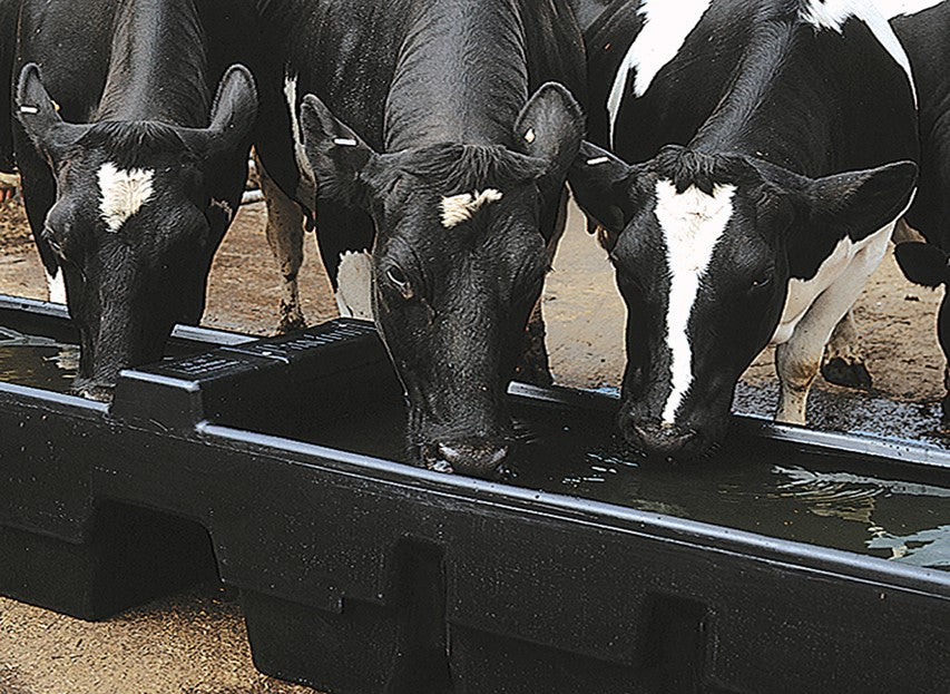 Paxton AT19 Rectangular Centre fill Drinking Trough c/w Ballcock 545 Litres