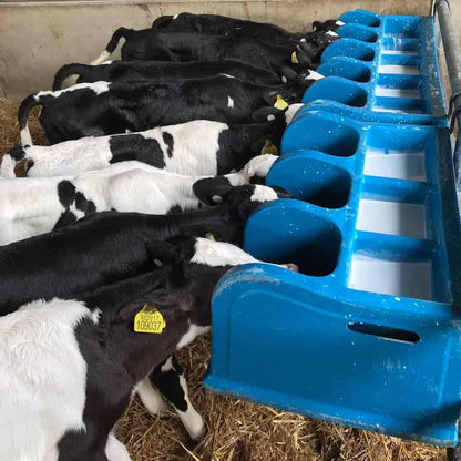 Wydale CF5 5 Teat Calf Feeder