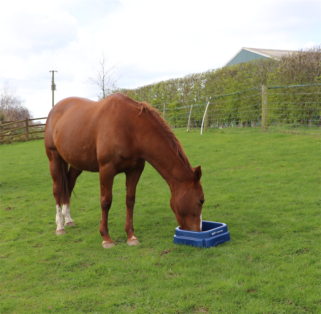 JFC AGRI Equine Square Floor Feeder EQ4