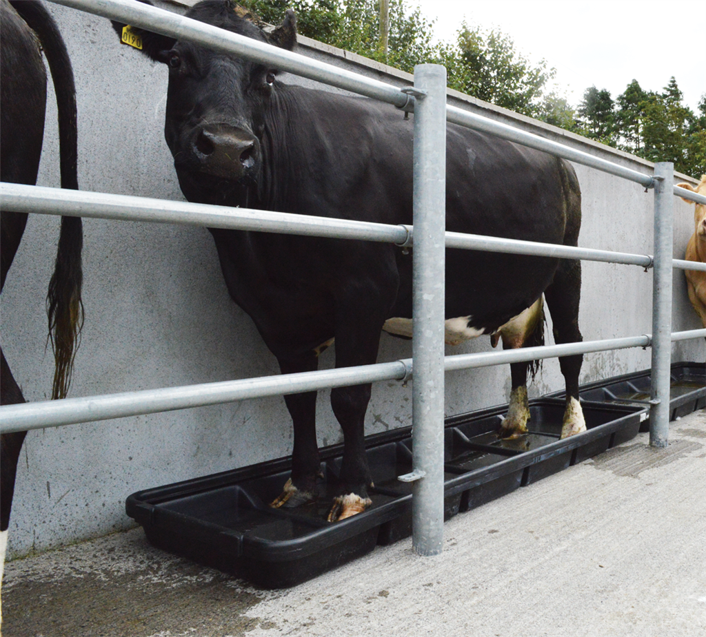 JFC Footbath FB7 Interlocking Cow/Sheep (Smooth Base) - 2.5m