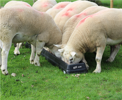 JFC FT3 Ground Feed Troughs - 15 Litre